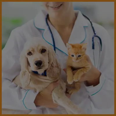 Médecins veterinaires